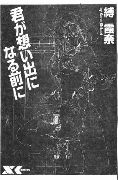 Kimi ga Omoide ni Naru Mae ni