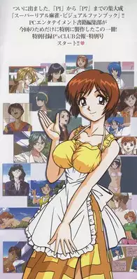 Super Real Mahjong Visual Fan Book Perfect Collection