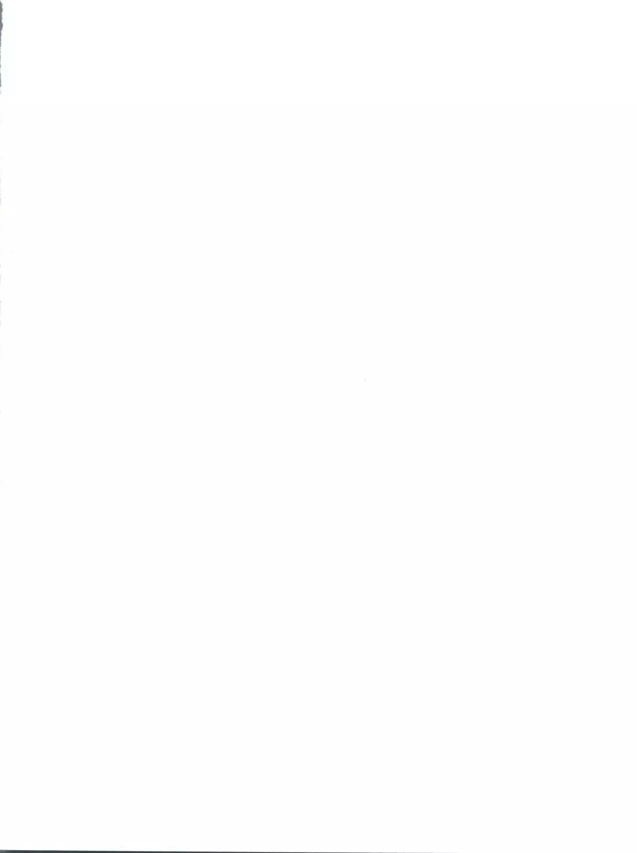 Jajauma ni nacchau! + phamphlet