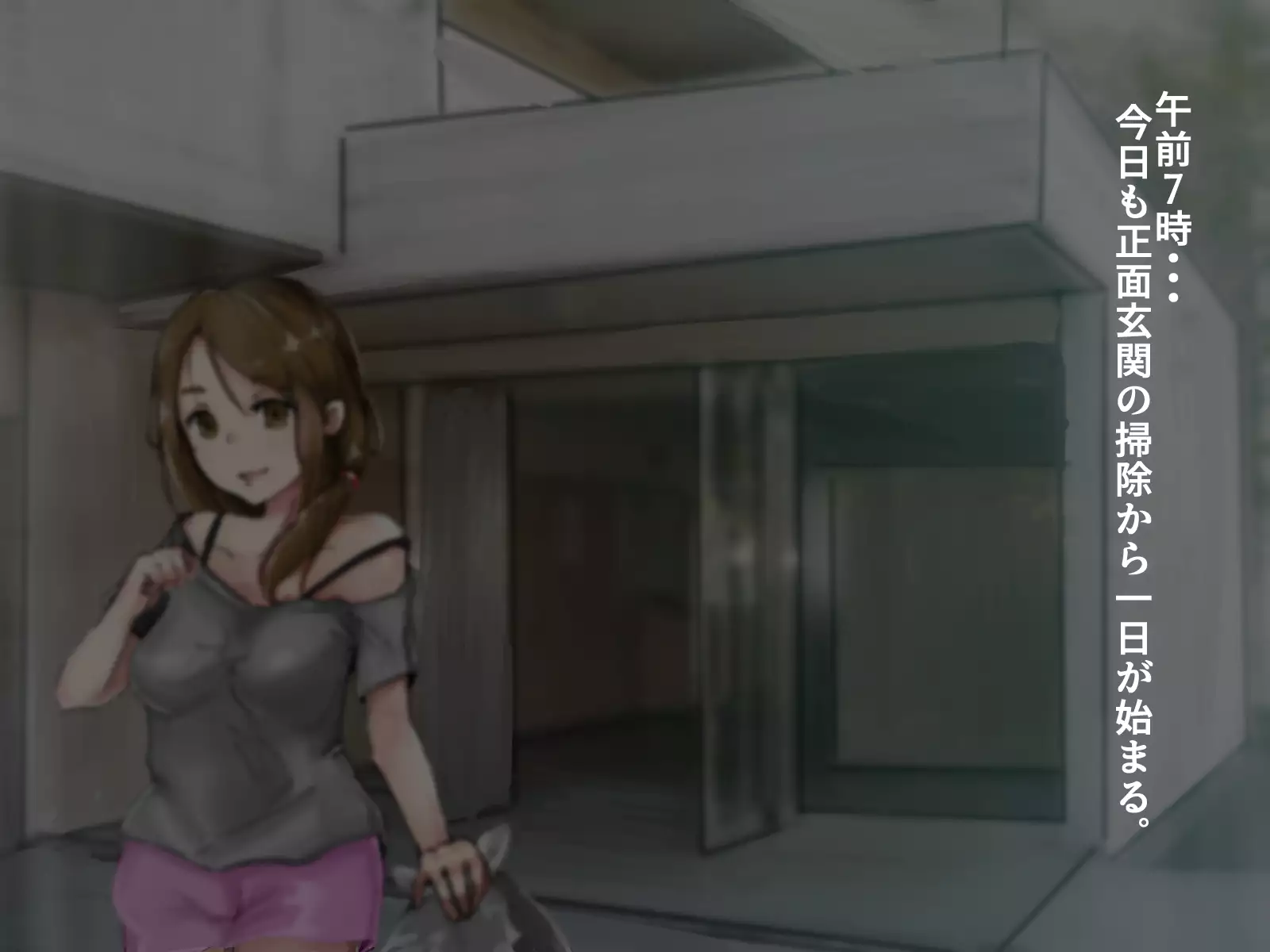 Seiyoku Kanri Nisshi 〜 Mansion ni Kurasu Ero Onna-domo Ochi￮ko-zuke ni Suru Gyoumu 〜