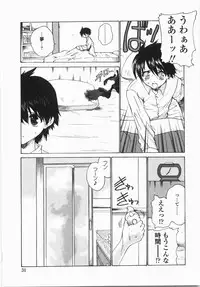 [Hirokawa Tomo] Cherry Concerto