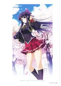 Walkure Romanze More & More Visual Fan Book