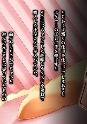 Hana Tsumi ~Denki Kojo Netori Tosatsu~