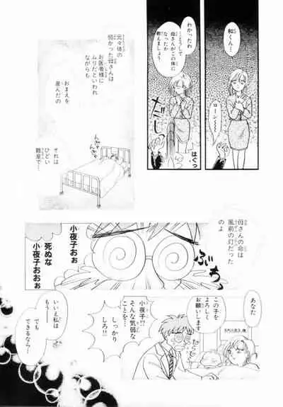 [Hikaru Nagareboshi] Seigi No Mikata Mo Raku Zya Nai