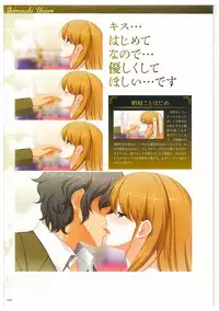 Seishojyo Visual Complete Book