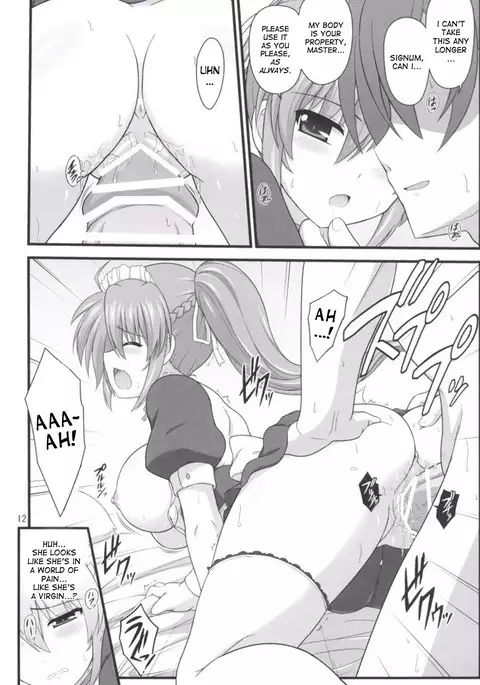 Rekka no Shou no Shitsukekata