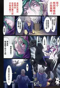 (C88) [STUDIO PAL (Nanno Koto)] Other Zone 5 ~Nishi no Majo~ (Wizard of Oz) [Chinese] [坏人卡]