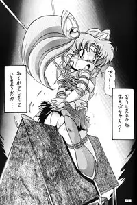 (C49) [Thirty Saver Street 2D Shooting, Studio Z-Agnam (Various)] 2D-Shooting (Sailor Moon)