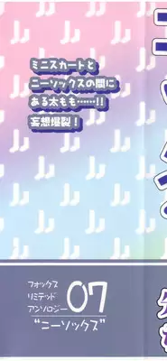 [Anthology] fox limit anthology 07 kneesocks