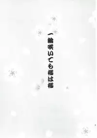 (SC2017 Summer) [An-Arc (Hamo)] Ichirin Saite mo Sakura wa Sakura (Fate/Grand Order)