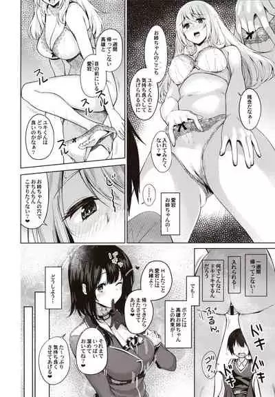 Otouto ga Kawaisugiru node Mirai no Teitoku dakedo, Aishichatte mo Ii desu ka?