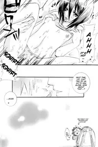 (C70) [PONCHEES (KARI) (Irohane Sui)] Rukia Kuchiki Minimum Maniax File (BLEACH) [English] [EHCOVE]