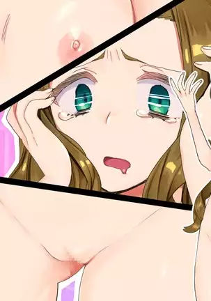 TS Mesu Dorei e no Kaizou