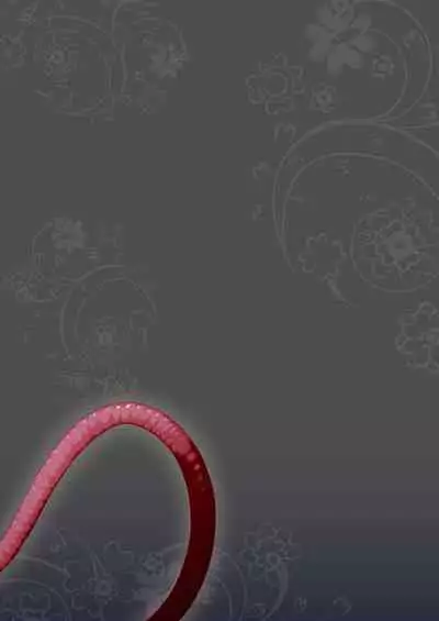 Bouken no Sho Series Soushuuhen - The Adventurer's Book has Perfect. Vol. 1