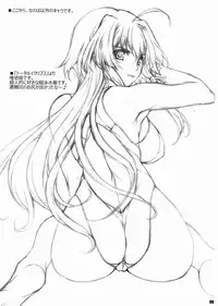 (C84) [BRIEST (Yatsushima Tetsuya)] T2R/02 (Various)