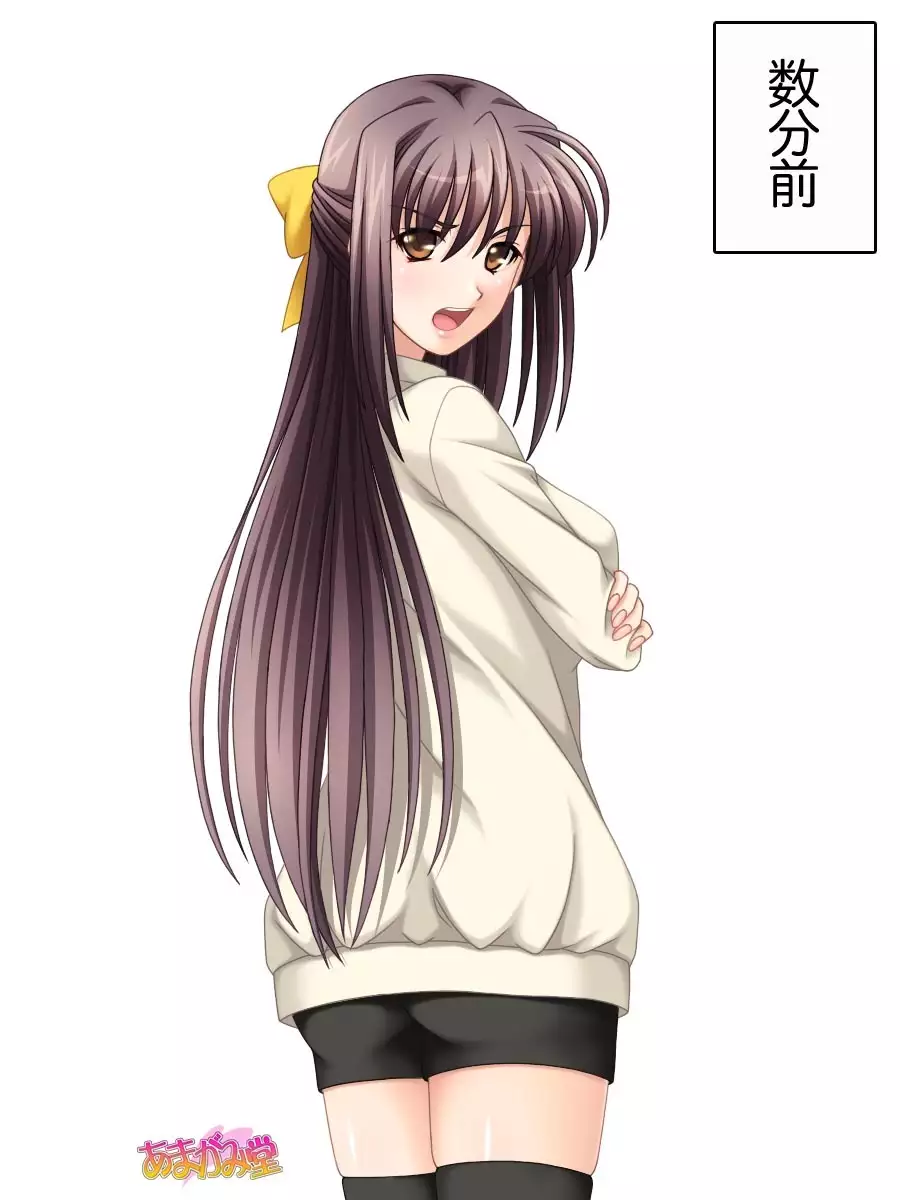 姉妹スワップ 第 1~10 話