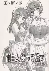 (SC36) [Bousou!! Fuhatsu-dan (Takai Biki)] B-F-D 01 (Kore ga Watashi no Goshujin-sama | He is My Master)