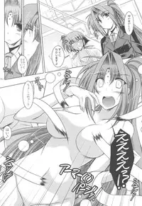 (C75) [ELHEART'S (Ibuki Pon)] ANOTHER FRONTIER 2.5 Mahou Shoujo Lyrical Lindy san #04 (Mahou Shoujo Lyrical Nanoha)