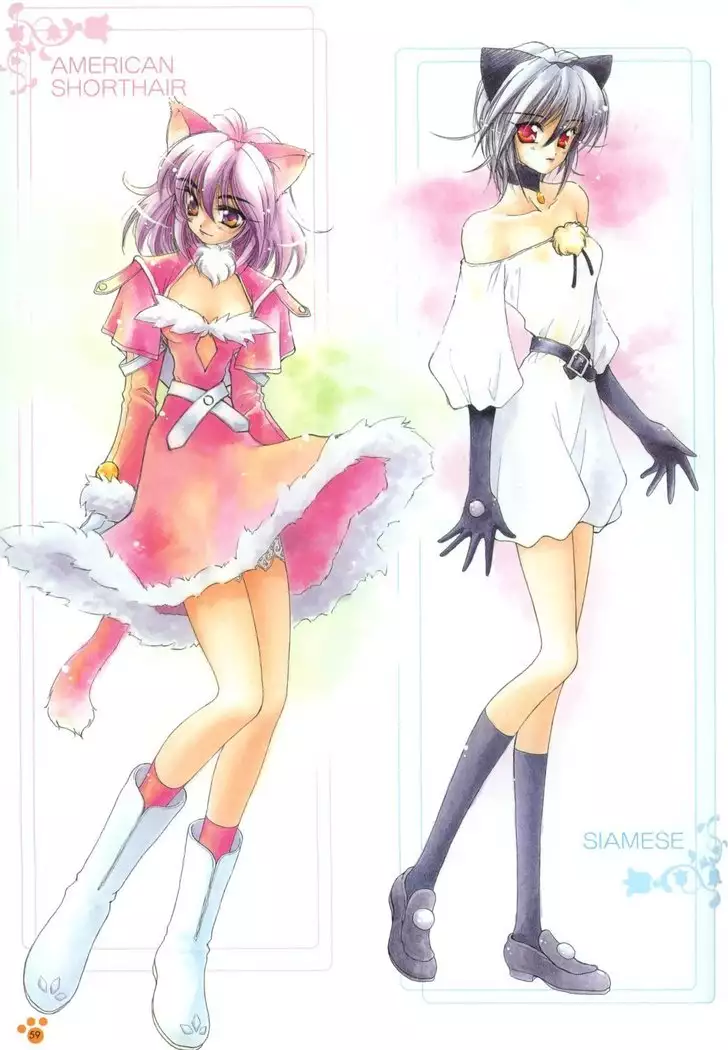 PRETTY CAT'S SHOW TIME