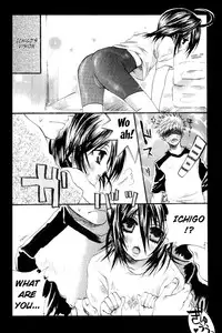 (C70) [PONCHEES (KARI) (Irohane Sui)] Rukia Kuchiki Minimum Maniax File (BLEACH) [English] [EHCOVE]