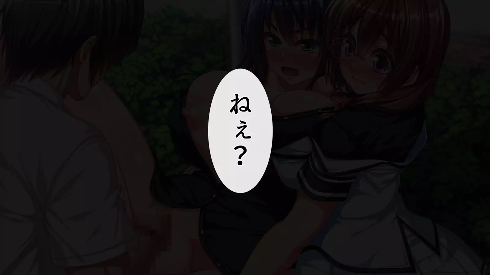 Kanzen ni Goui no AV Shima!