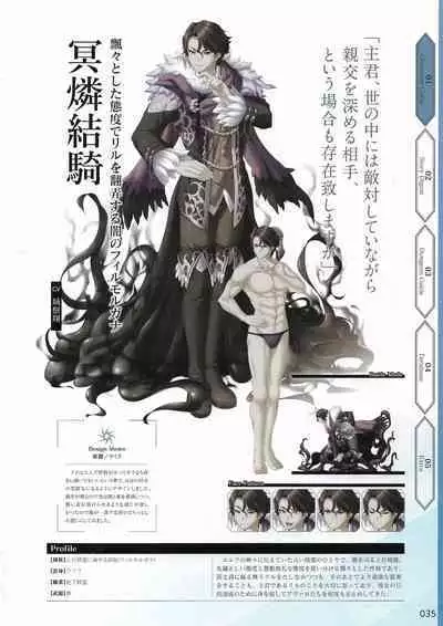 Amayui Labyrinth Meister Perfect Guidebook