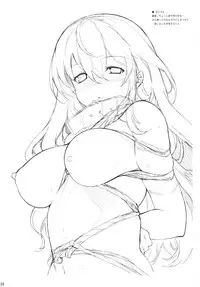 (C80) [Douganebuibui (Aburidashi Zakuro)] Chiisana Kokoro no Tane (Touhou Project)