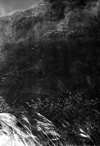 [Takashi Ishii] Maraque