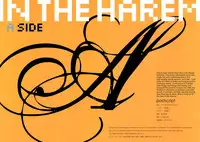 (C81) [Shoujo Kishidan (Oyari Ashito)] IN THE HAREM A SIDE (THE iDOLM@STER) [English]