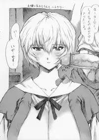 (C71) [Nakayohi Mogudan (Mogudan)] Gentei Bon 2006 Fuyu (Neon Genesis Evangelion)