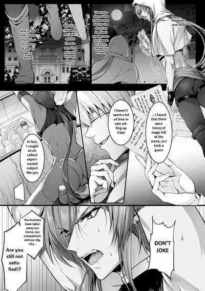 Elf Sakusei Jikken Maetsu ni Ochiru Kiyoki Tamashii | A pure elf falls into an experiment