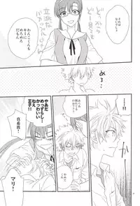 (C84) [Pink Elephant (Kotori)] circle cycle circurate (Neon Genesis Evangelion)