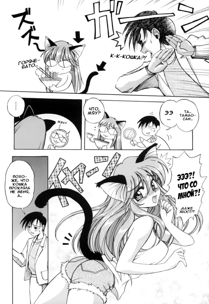 PRETTY CAT'S SHOW TIME