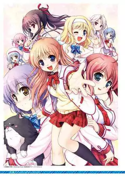 Daitoshokan no Hitsujikai Visual Fan Book Houkago Shippo Days & Dreaming Sheep Visual Fan Book