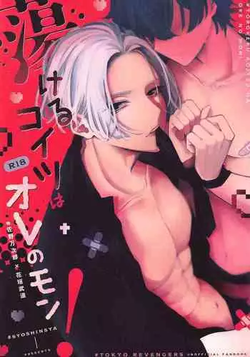 torokerukoitsuhaorenomon！