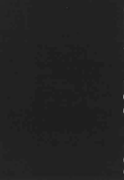 GAME OF BITCHES the escape