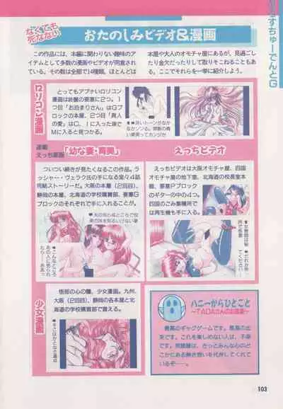 Official Alicesoft Full Completion Guide (PC-CUPID)