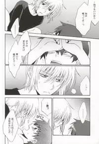 (C71) [CACHE-CACHE (Nanjou Papiko)] Ameiro Nemesis (Brave Story)