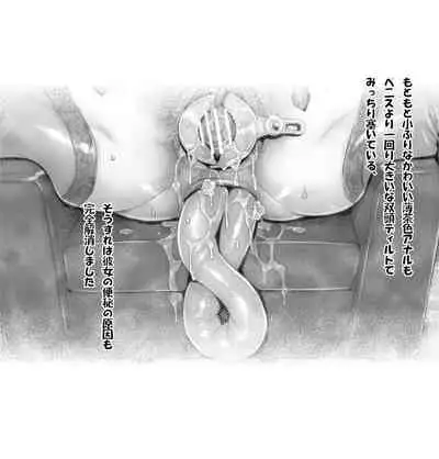 Bijin Hisho no Toriatsukai