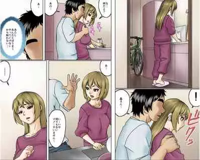 Ichizuna Anego wa Miboujin setto pan