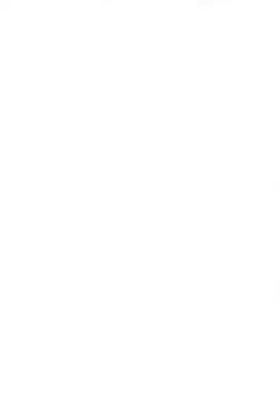 Oshibori Kuro Elf-san