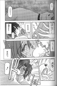 [Sanbun Kyoden] Sein Zain [Incomplete]