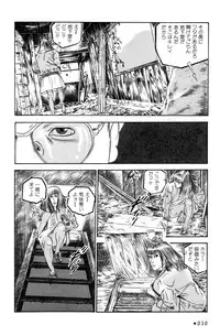 [Takashi Ishii] Maraque