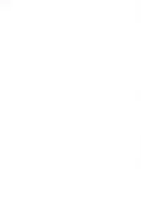 (C88) [Memeya (Meme50)] Hoshizora Ikuyo 40-sai Sai Debut (Smile PreCure!) [Chinese] [脸肿汉化组]