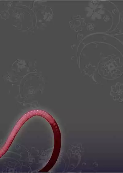 Bouken no Sho Series Soushuuhen - The Adventurer's Book has Perfect. Vol. 1