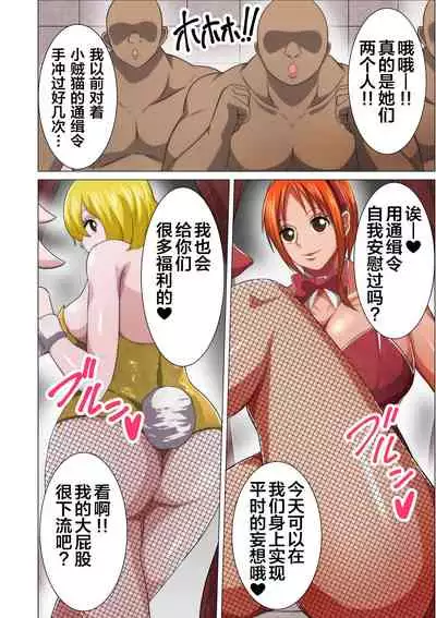 [Q Doujin] Bunny Service (One Piece) [Chinese] [紫苑汉化组]