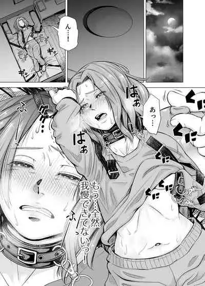 Danna no Chinko ja, Manzoku Dekinai...? Zenpen