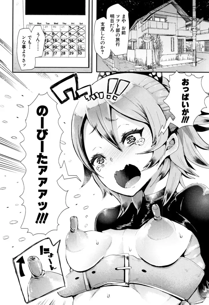 Daisuki Dakara Mechakucha ni Okashite