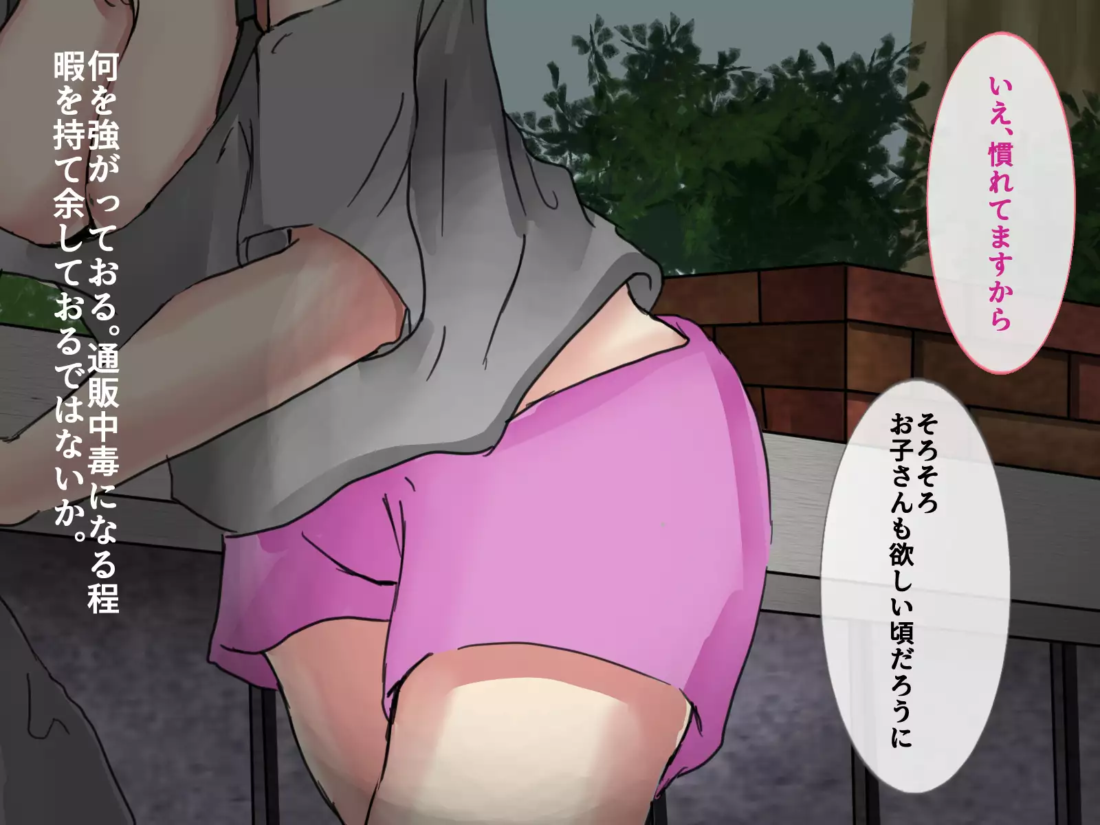 Seiyoku Kanri Nisshi 〜 Mansion ni Kurasu Ero Onna-domo Ochi￮ko-zuke ni Suru Gyoumu 〜