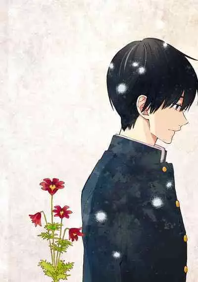 Kimi ni wa Todokanai. 2